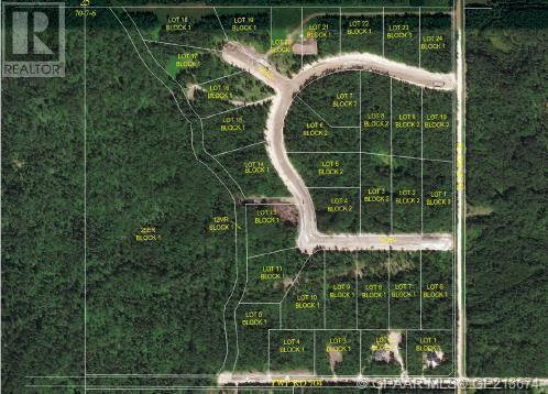 37, 704016 Range Road 70, County Of, Alberta  T0H 3V0 - Photo 4 - A2099659