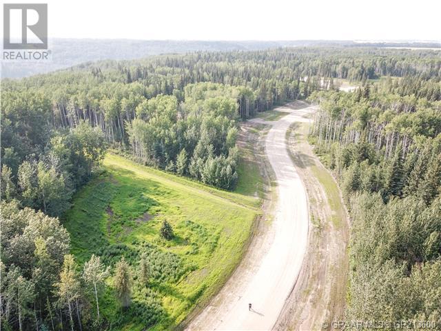 21, 704016 Range Road 70, County Of, Alberta  T0H 3V0 - Photo 3 - A2099655