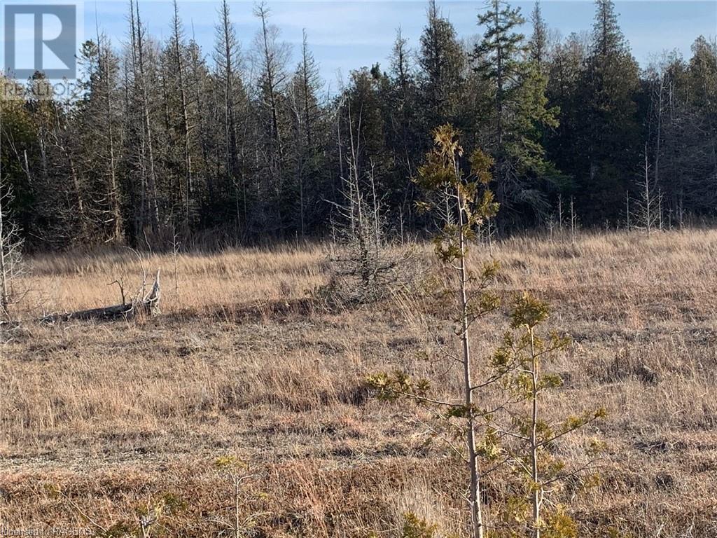 153 Mcdonough Lane Parts 1 To 10, Stokes Bay, Ontario  N0H 1W0 - Photo 22 - 40525336