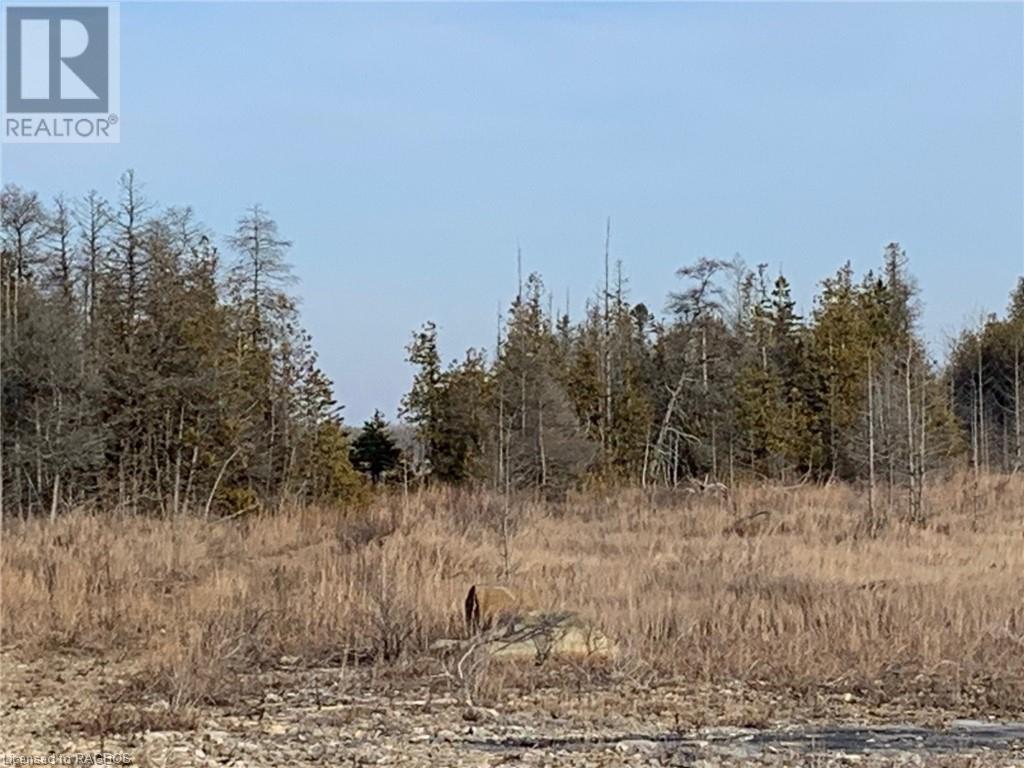 153 Mcdonough Lane Parts 1 To 10, Stokes Bay, Ontario  N0H 1W0 - Photo 24 - 40525336