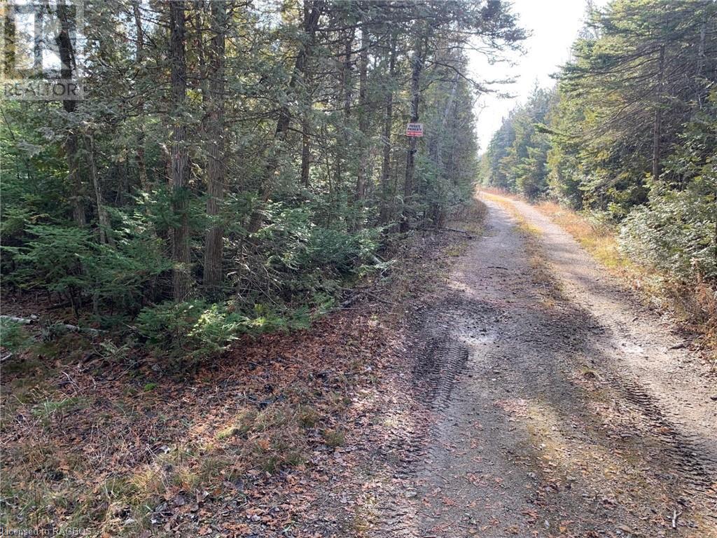 153 Mcdonough Lane Parts 1 To 10, Stokes Bay, Ontario  N0H 1W0 - Photo 15 - 40525336