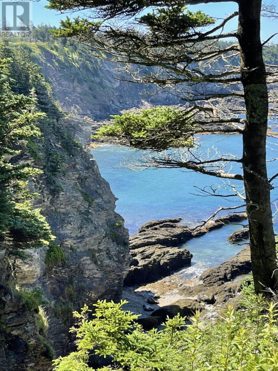 Lot #10cd-13 Pepperrell Road, Mavillette, Nova Scotia  B5A 5B4 - Photo 8 - 202400109