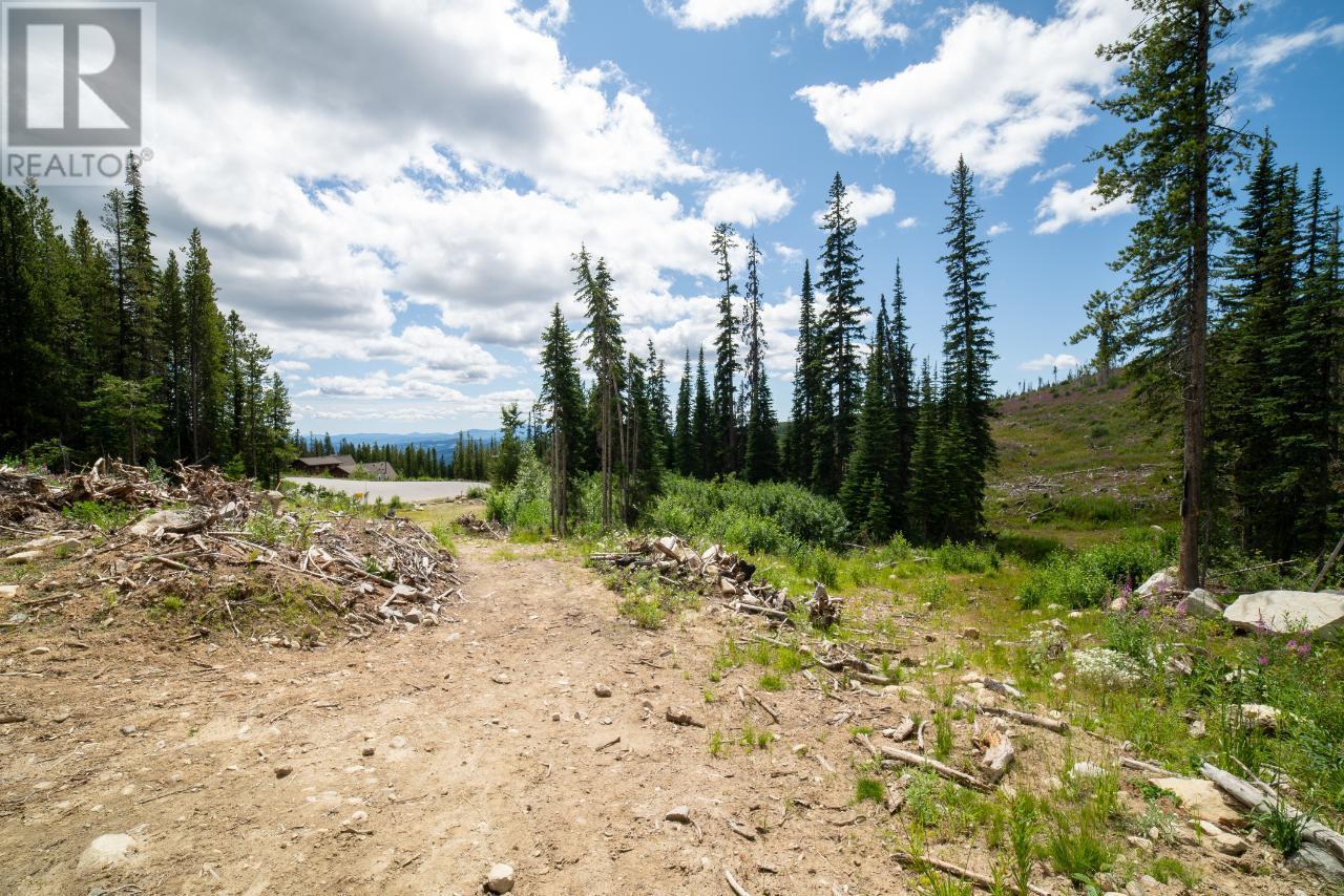 369 Buck Road, Oliver, British Columbia  V0H 1B0 - Photo 12 - 200536