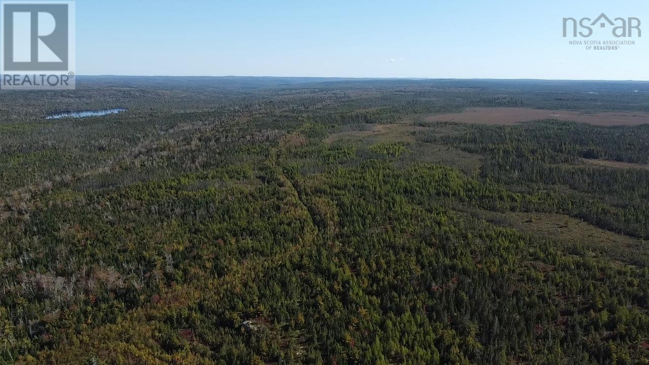 Lot 1 Shaw Big Lake, Murchyville, Nova Scotia  B0N 1X0 - Photo 10 - 202400198