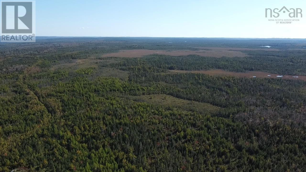 Lot 1 Shaw Big Lake, Murchyville, Nova Scotia  B0N 1X0 - Photo 11 - 202400198