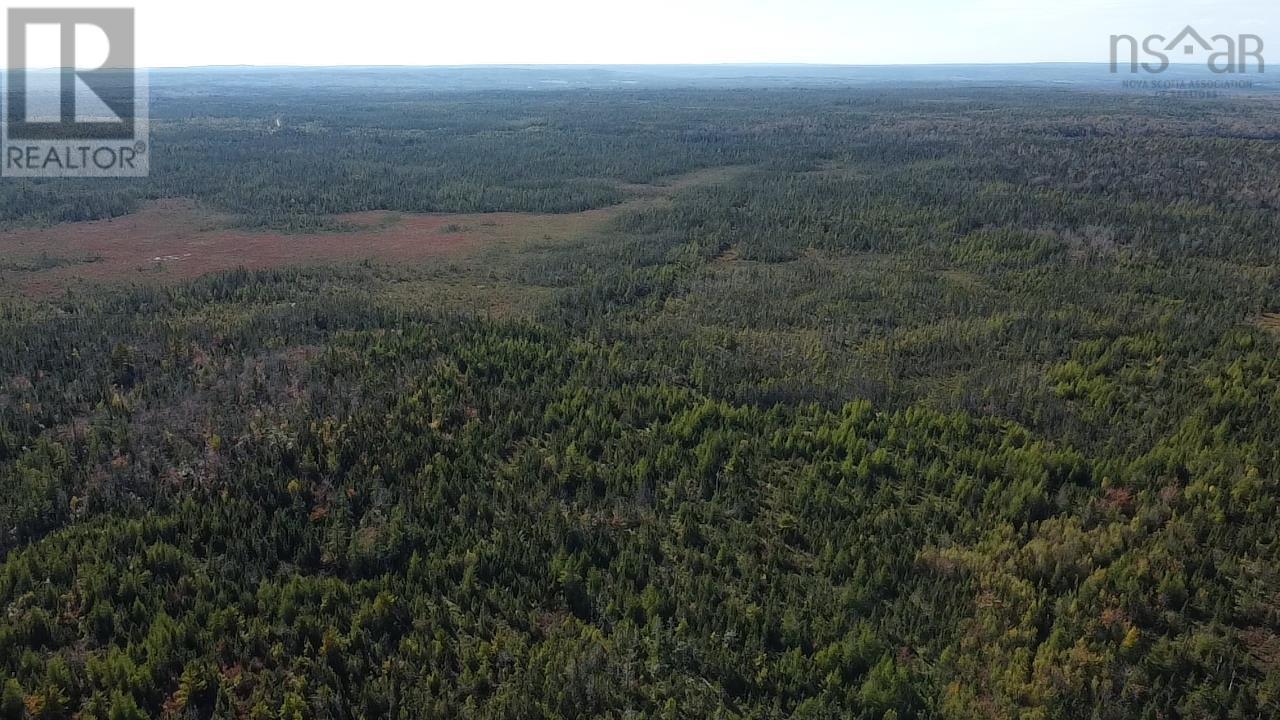 Lot 1 Shaw Big Lake, Murchyville, Nova Scotia  B0N 1X0 - Photo 12 - 202400198