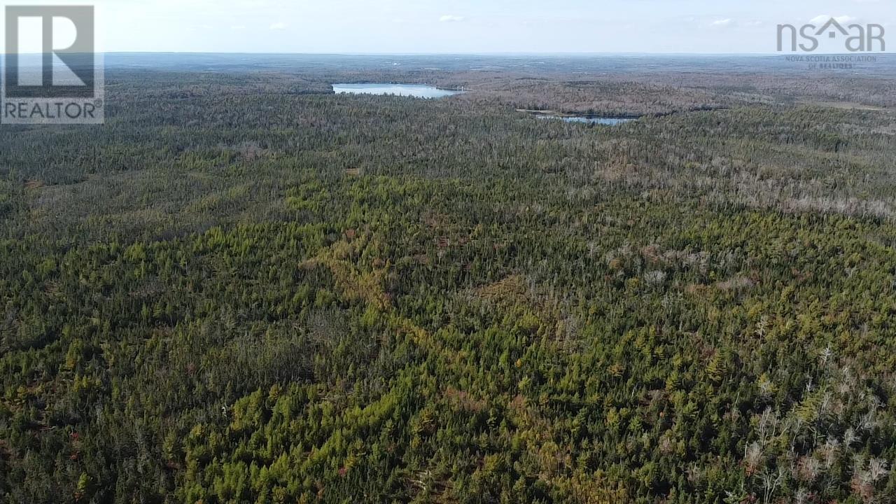 Lot 1 Shaw Big Lake, Murchyville, Nova Scotia  B0N 1X0 - Photo 4 - 202400198