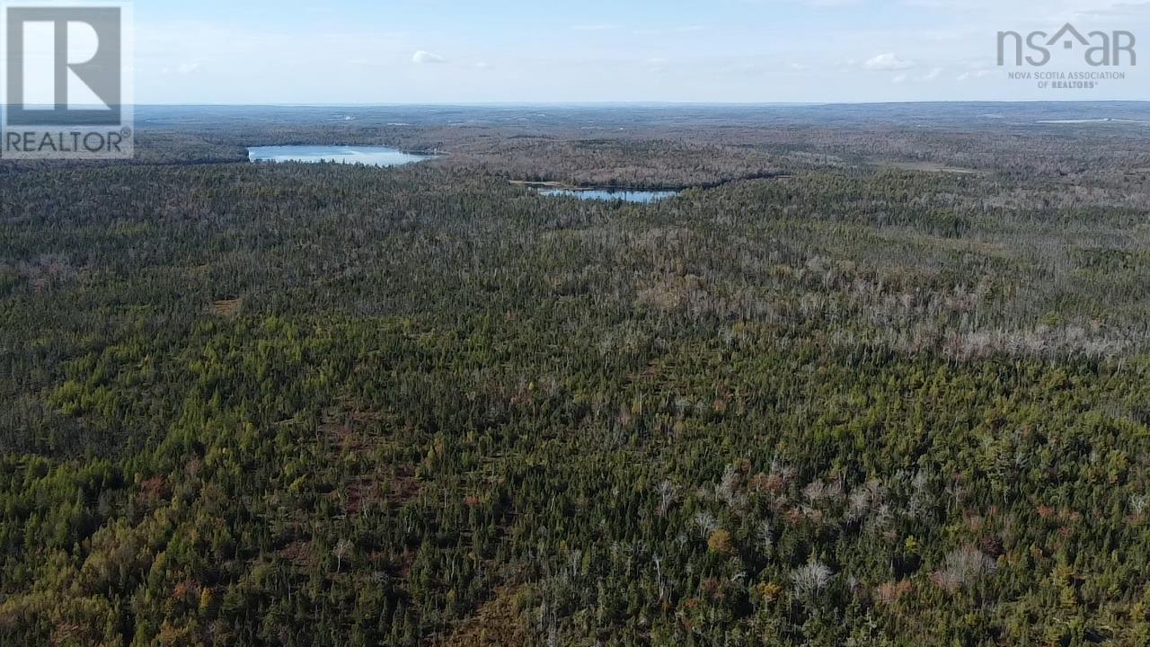 Lot 1 Shaw Big Lake, Murchyville, Nova Scotia  B0N 1X0 - Photo 5 - 202400198