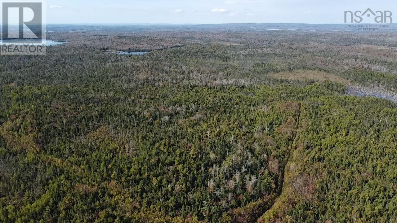 Lot 1 Shaw Big Lake, Murchyville, Nova Scotia  B0N 1X0 - Photo 6 - 202400198