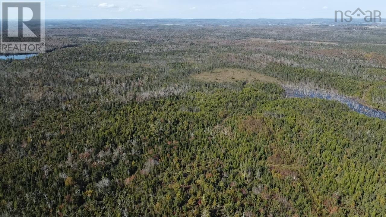 Lot 1 Shaw Big Lake, Murchyville, Nova Scotia  B0N 1X0 - Photo 7 - 202400198