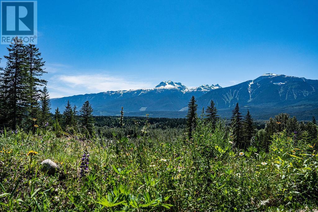 13 Proposed Lot #13 150 Townley Street Revelstoke Photo 8