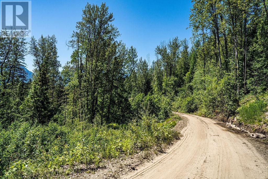 13 Proposed Lot #13 150 Townley Street Revelstoke