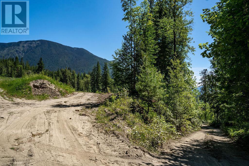 13 Proposed Lot #13 150 Townley Street Revelstoke