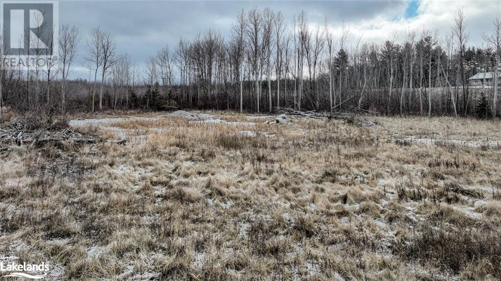 6255 Vancise Court, Clearview, Ontario  L0M 1S0 - Photo 6 - 40525287