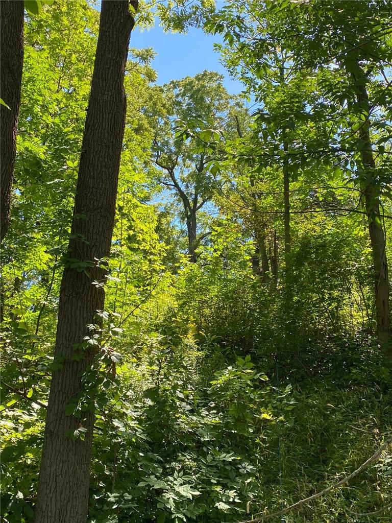 Pt Lt 3 Effingham Street, Fonthill, Ontario  L2R 6P7 - Photo 6 - H4182551