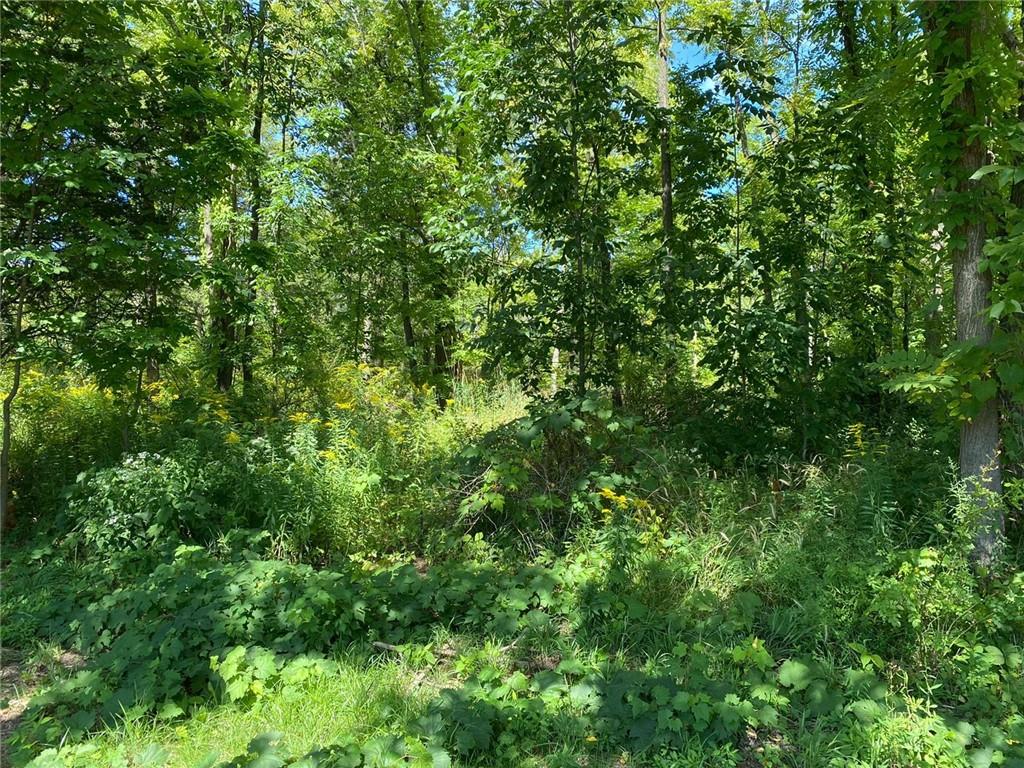 Pt Lt 3 Effingham Street, Fonthill, Ontario  L2R 6P7 - Photo 8 - H4182551