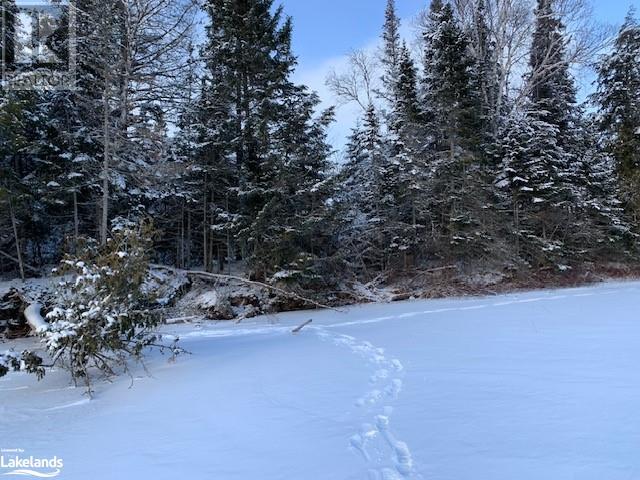 Lot 7 Chemical Road, South River, Ontario  P0A 1X0 - Photo 3 - 40526099