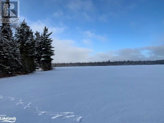 Lot 7 Chemical Road, South River, Ontario  P0A 1X0 - Photo 8 - 40526099