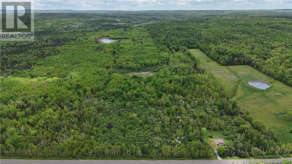 Lot 2 Route 710, Codys, New Brunswick  E4C 1B8 - Photo 2 - NB093480