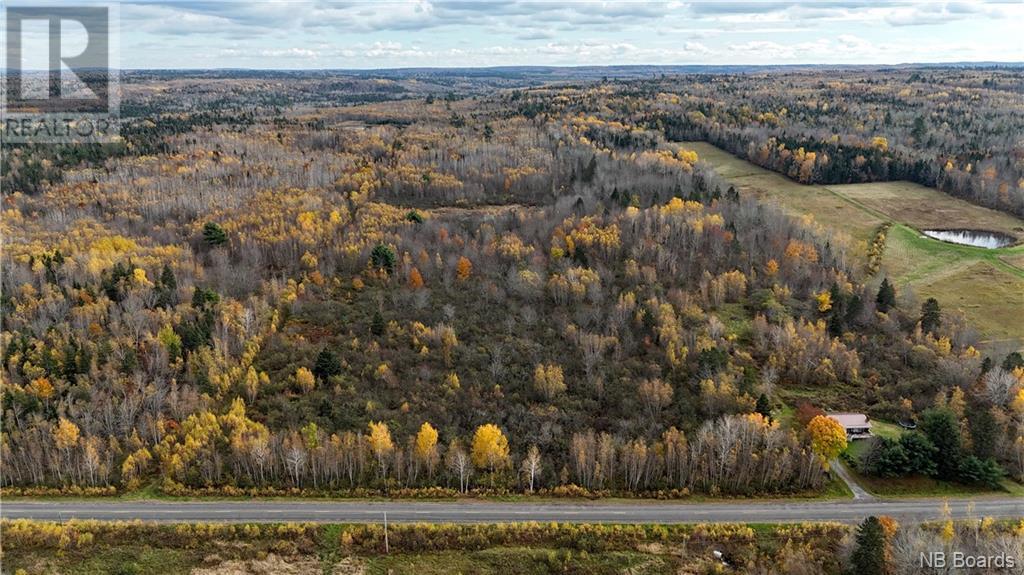 Lot 2 Route 710, Codys, New Brunswick  E4C 1B8 - Photo 10 - NB093480