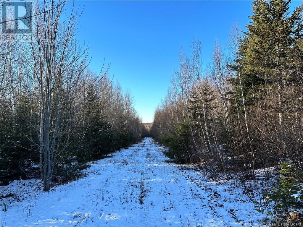 Lot 2 Route 710, Codys, New Brunswick  E4C 1B8 - Photo 6 - NB093480