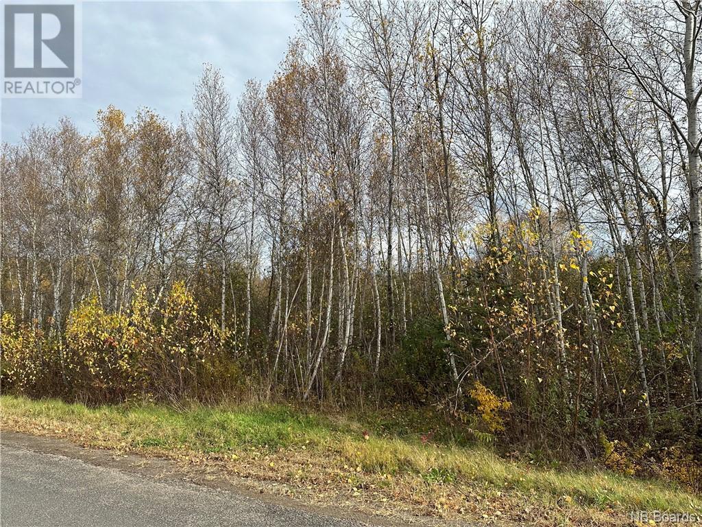 Lot 2 Route 710, Codys, New Brunswick  E4C 1B8 - Photo 8 - NB093480