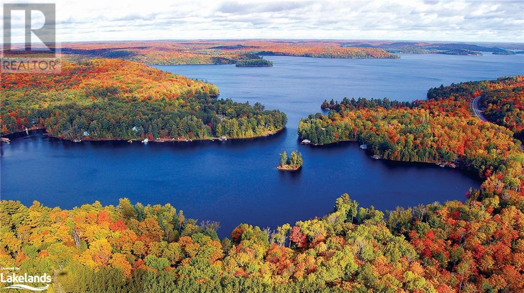 1020 Birch Glen Road, Lake Of Bays (Mclean), Ontario  P0B 1A0 - Photo 3 - X10894329