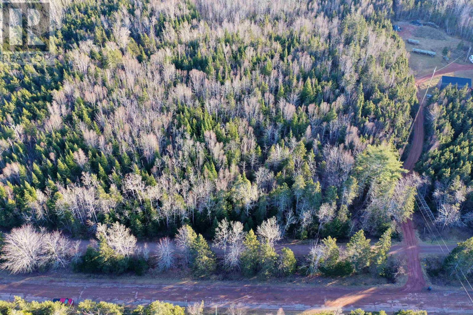 Acreage Straghbohgie Road, Cardigan Head, Prince Edward Island  C0A 1G0 - Photo 2 - 202400359