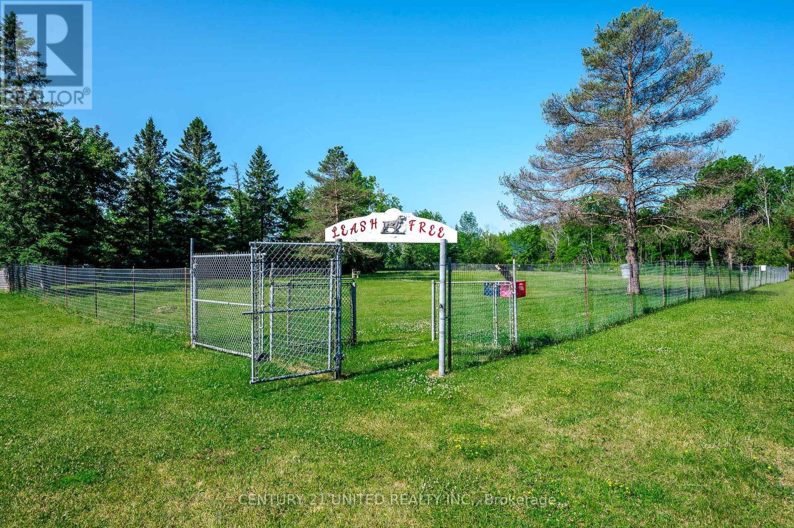 2813 Lakefield Road, Smith-Ennismore-Lakefield, Ontario  K9J 6X5 - Photo 20 - X7384168