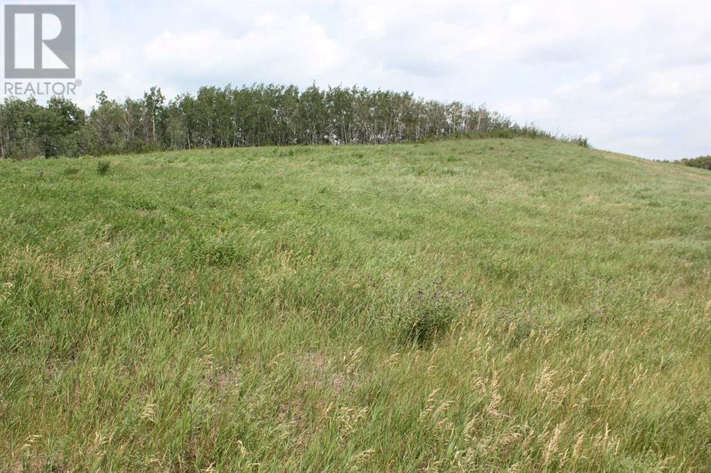 On Buffalo Lane, County Of, Alberta  T0C 3B0 - Photo 16 - A2063550