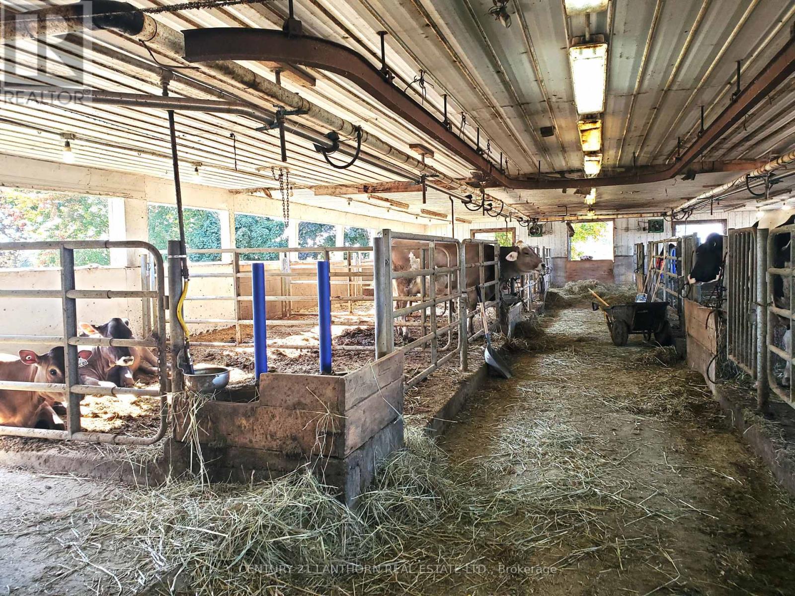 173 (A) Card Rd, Stone Mills, Ontario  K0K 3N0 - Photo 38 - X7386510