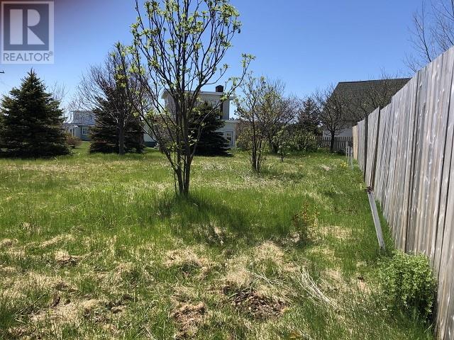 65 Ohio Drive, Stephenville, A2N2W2, ,Vacant land,For sale,Ohio,1266763