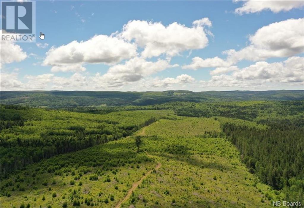 165 acres Poodiac Road, hammondvale, New Brunswick