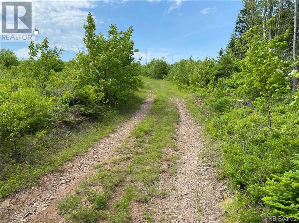 165 Acres Poodiac Road, Hammondvale, New Brunswick  E4E 3R9 - Photo 12 - NB094790