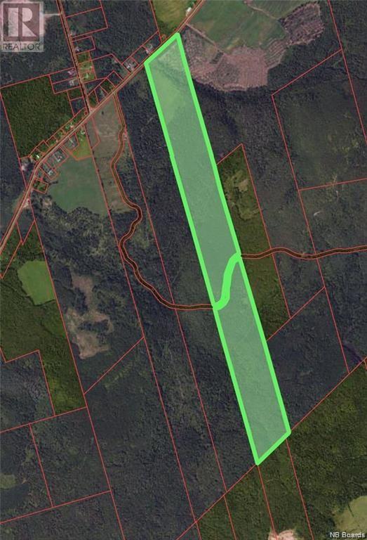 165 Acres Poodiac Road, Hammondvale, New Brunswick  E4E 3R9 - Photo 14 - NB094790