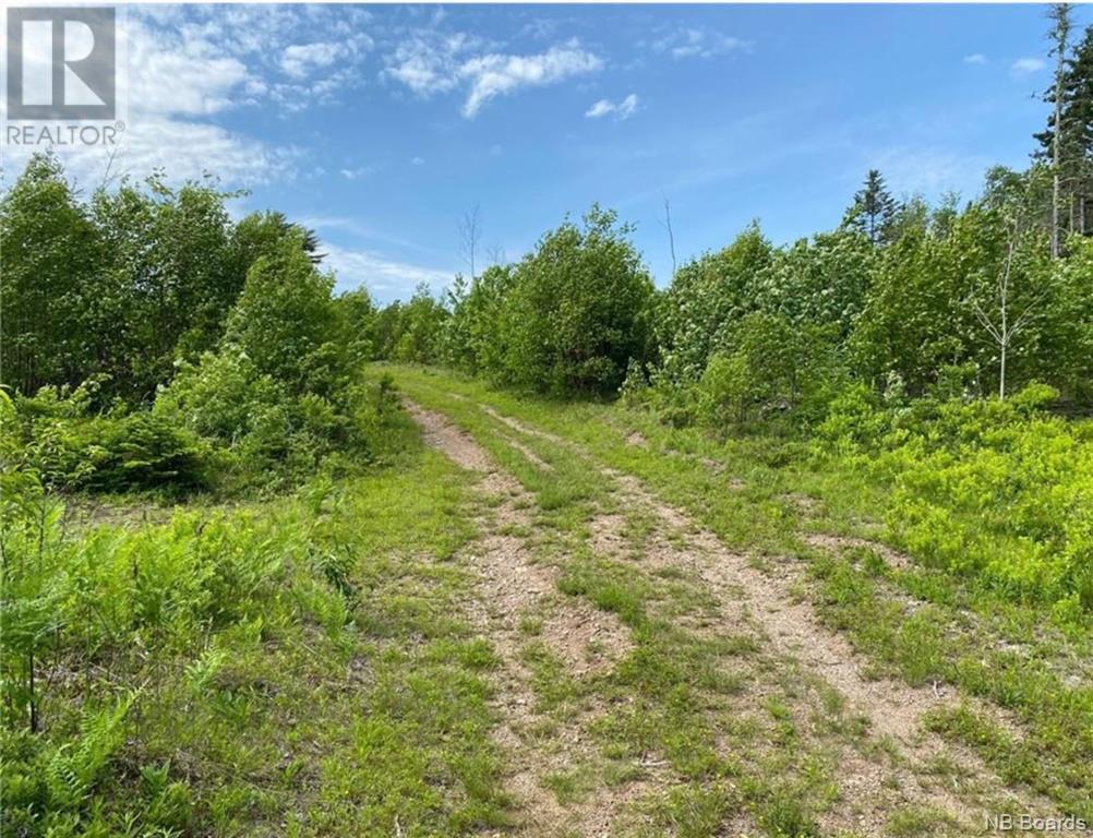 165 Acres Poodiac Road, Hammondvale, New Brunswick  E4E 3R9 - Photo 9 - NB094790