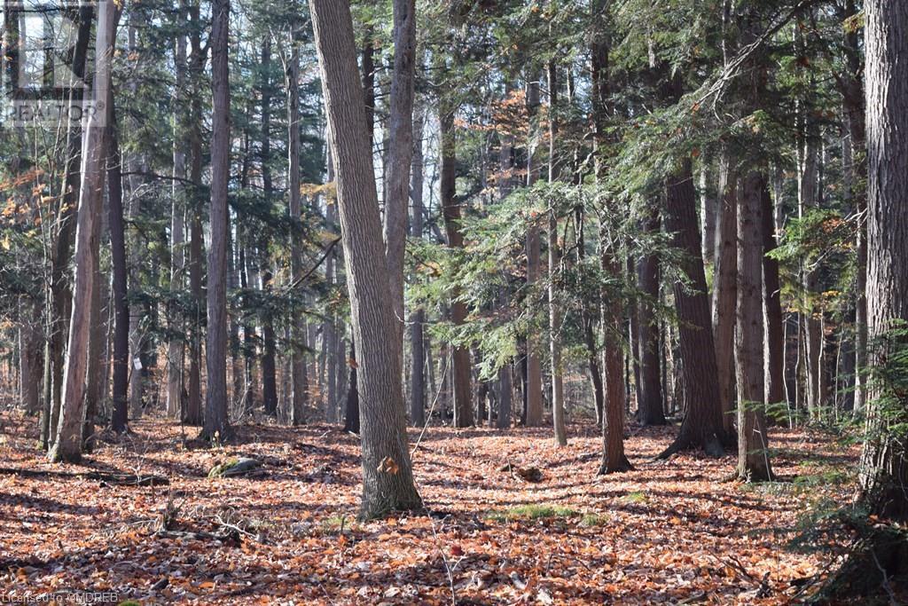 0 Fourth Line Nassagaweya, Milton, Ontario  N0B 2K0 - Photo 12 - 40344220