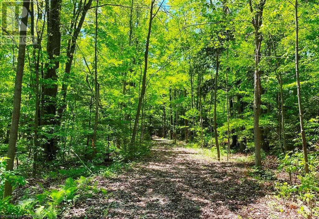 0 Fourth Line Nassagaweya, Milton, Ontario  N0B 2K0 - Photo 2 - 40344220