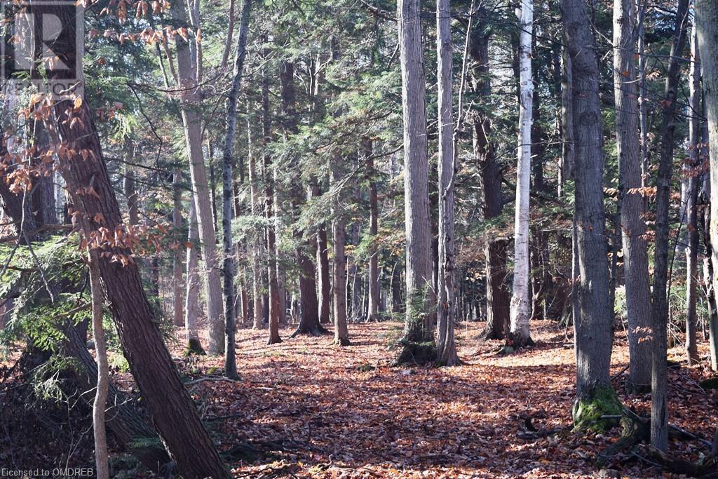 0 Fourth Line Nassagaweya, Milton, Ontario  N0B 2K0 - Photo 11 - 40344220