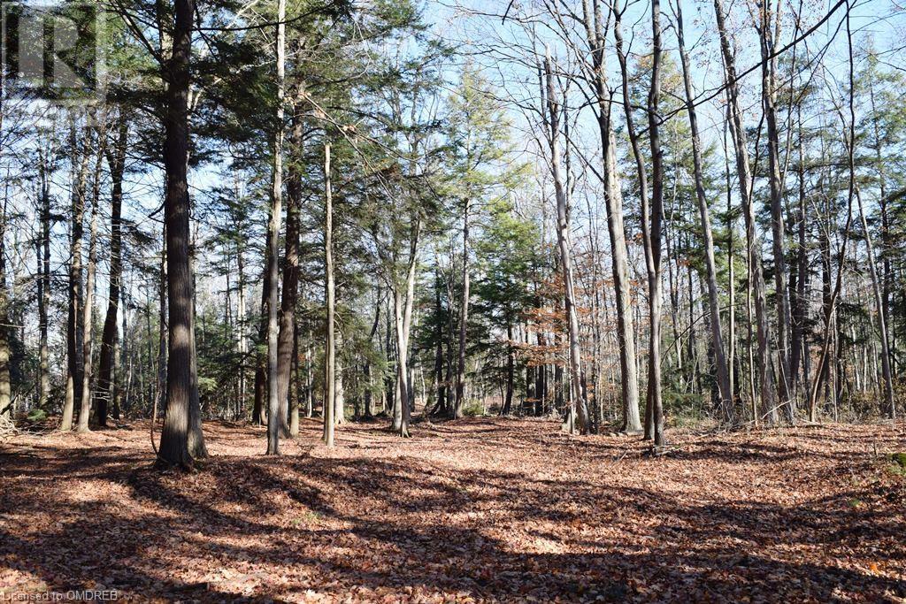 0 Fourth Line Nassagaweya, Milton, Ontario  N0B 2K0 - Photo 19 - 40344220