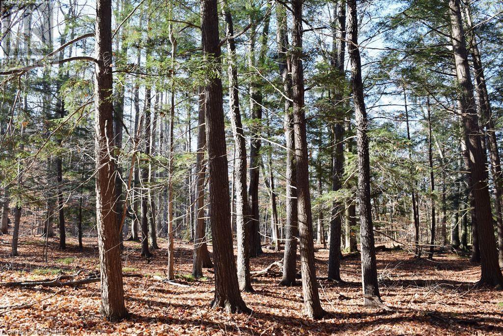 0 Fourth Line Nassagaweya, Milton, Ontario  N0B 2K0 - Photo 15 - 40344220