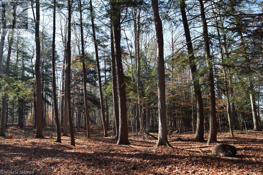 0 Fourth Line Nassagaweya, Milton, Ontario  N0B 2K0 - Photo 14 - 40344220