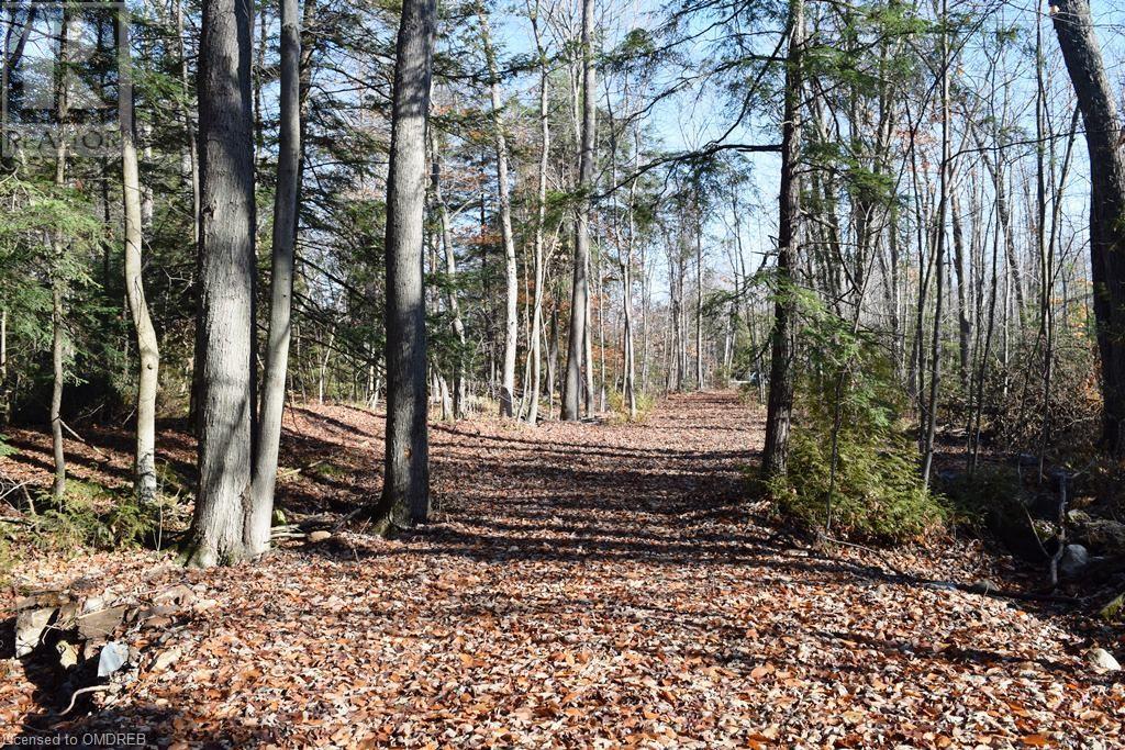 0 Fourth Line Nassagaweya, Milton, Ontario  N0B 2K0 - Photo 9 - 40344220