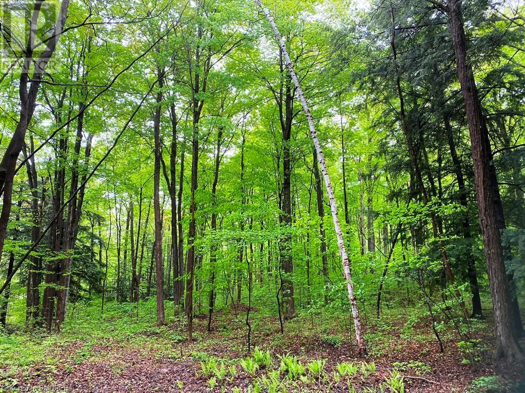 0 Fourth Line Nassagaweya, Milton, Ontario  N0B 2K0 - Photo 6 - 40344220