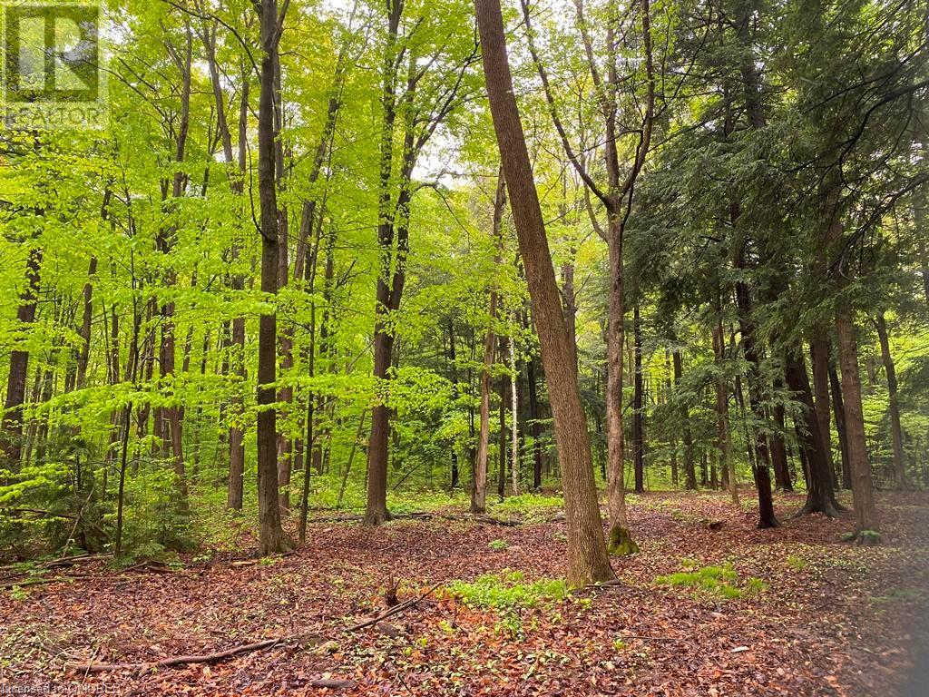 0 Fourth Line Nassagaweya, Milton, Ontario  N0B 2K0 - Photo 7 - 40344220