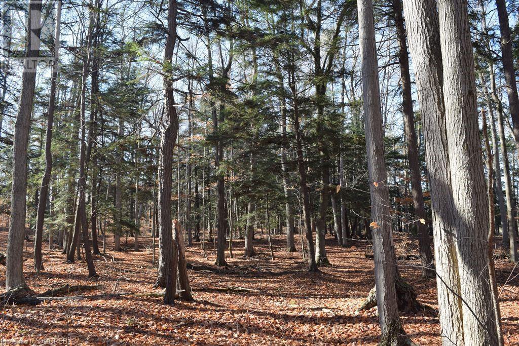 0 Fourth Line Nassagaweya, Milton, Ontario  N0B 2K0 - Photo 17 - 40344220