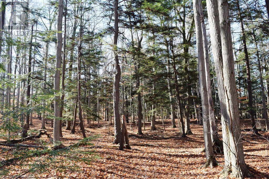 0 Fourth Line Nassagaweya, Milton, Ontario  N0B 2K0 - Photo 16 - 40344220