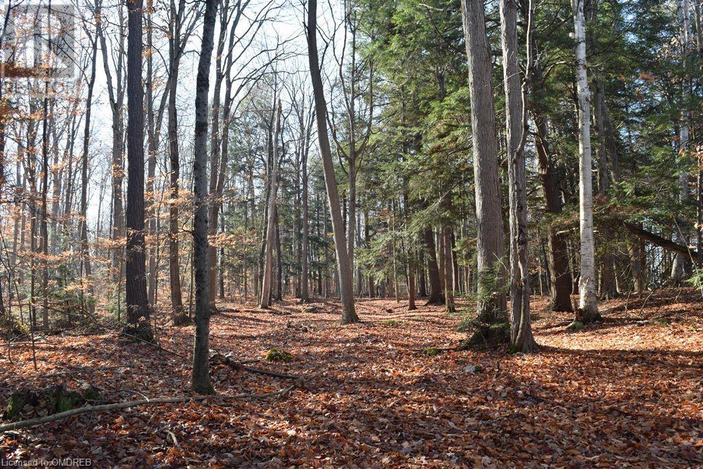 0 Fourth Line Nassagaweya, Milton, Ontario  N0B 2K0 - Photo 13 - 40344220