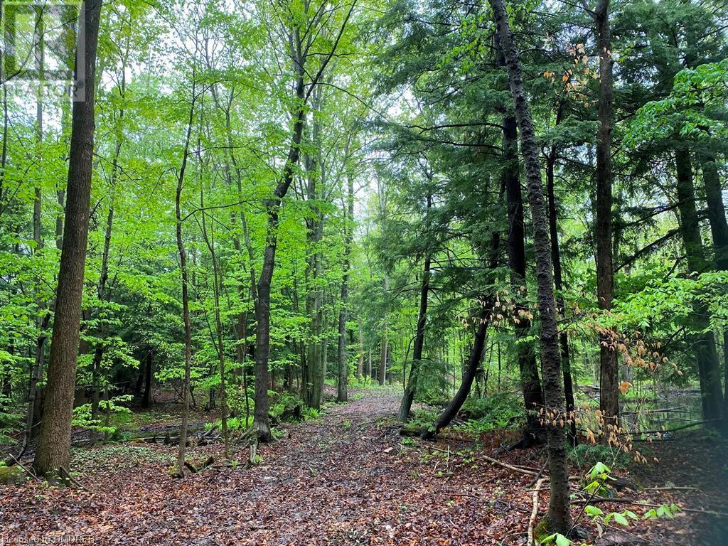 0 Fourth Line Nassagaweya, Milton, Ontario  N0B 2K0 - Photo 4 - 40344220