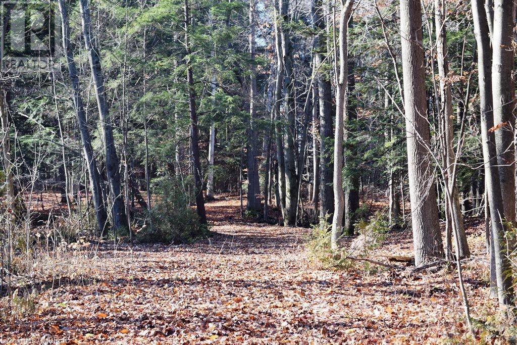 0 Fourth Line Nassagaweya, Milton, Ontario  N0B 2K0 - Photo 10 - 40344220